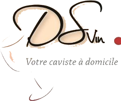DSvin